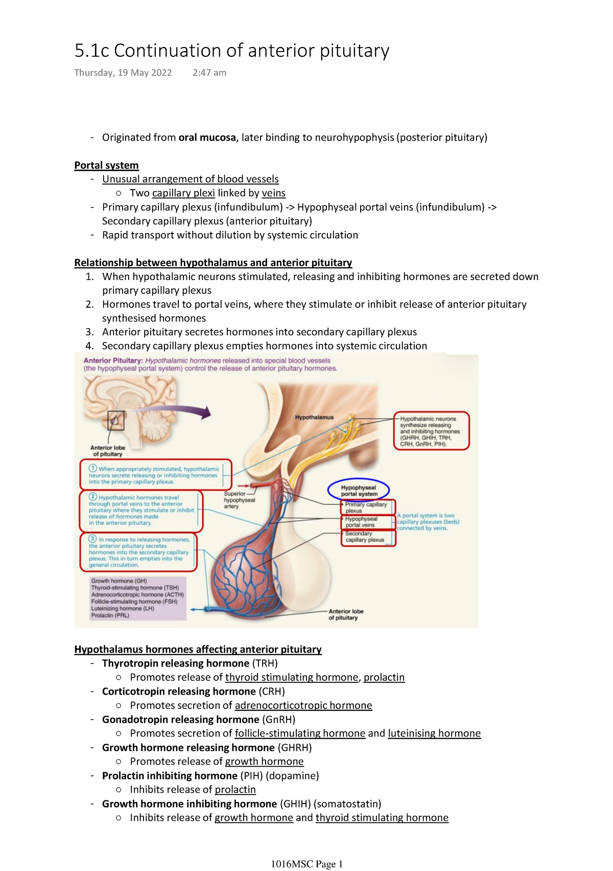 5.1c Continuation of anterior pituitary - Originated from oral mucosa ...