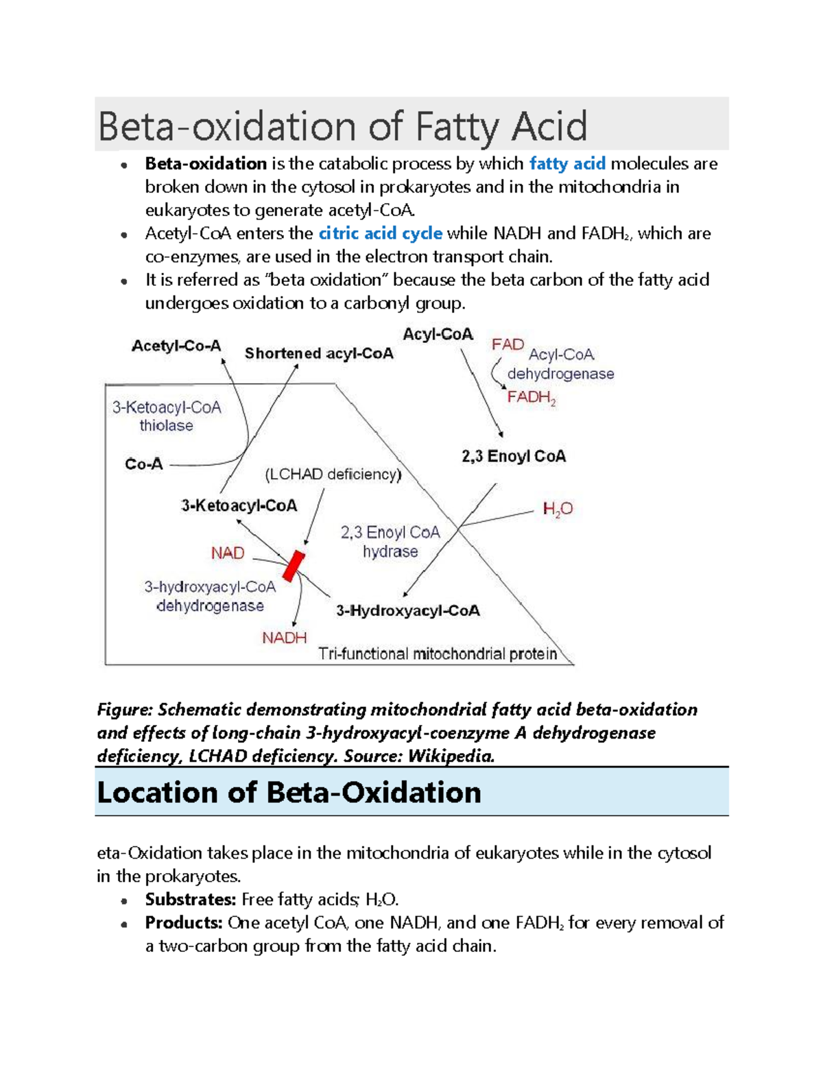 Beta oxidation of fatty acid Betaoxidation of Fatty Acid Beta