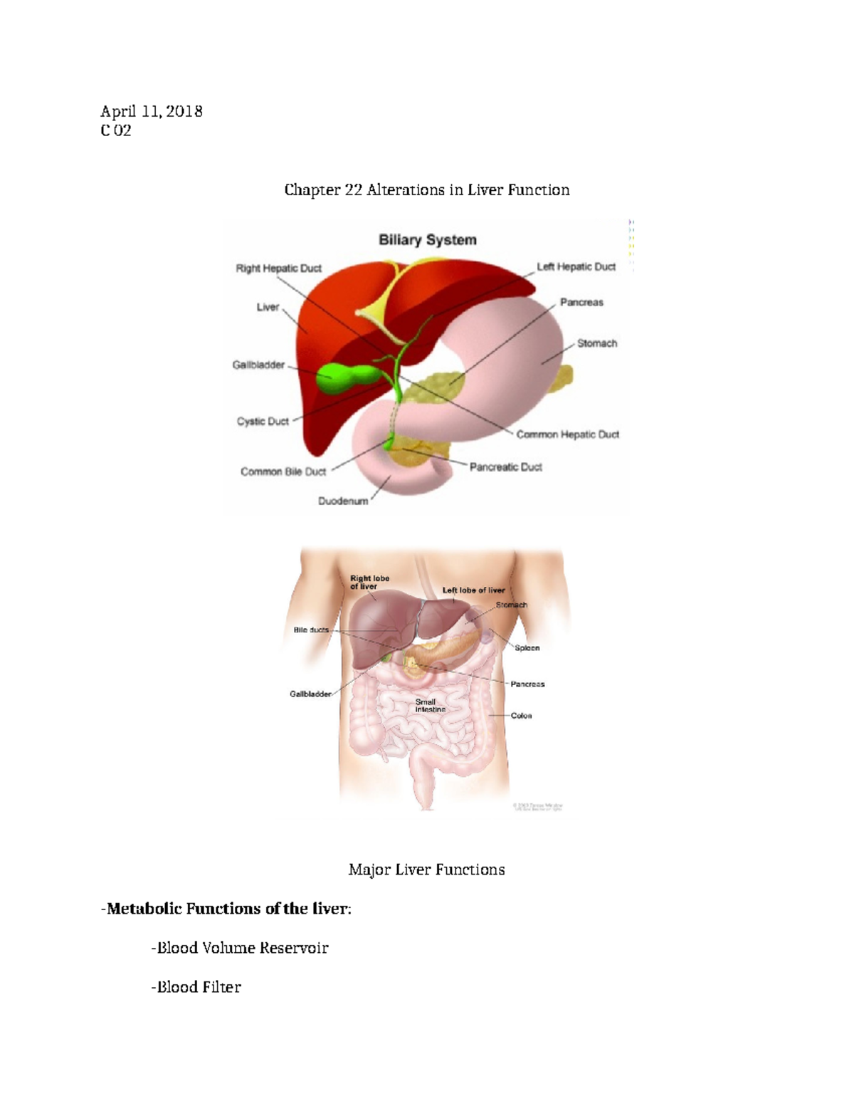 Chapter 22 Alterations in Liver Function and how did the blood pressure ...