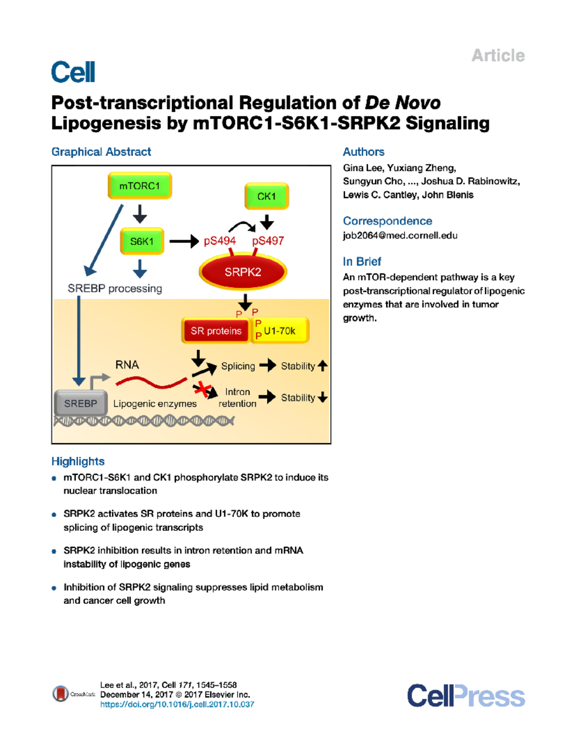 Hepatic De Novo Lipogenesis And Regulation Of Metabolism – FUISMA