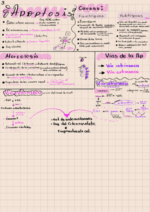 Primer Examen Parcial - Bioestadística - 2023 - Bioestadística Medicina ...