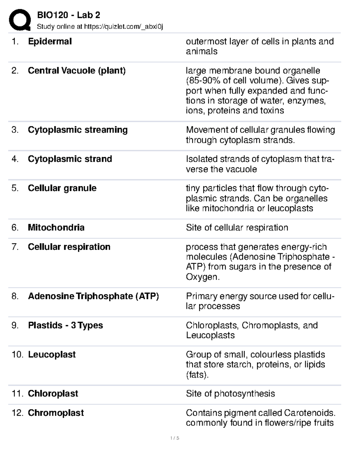 bio-120-lab-2-flashcards-study-online-at-quizlet-abxi0j-epidermal