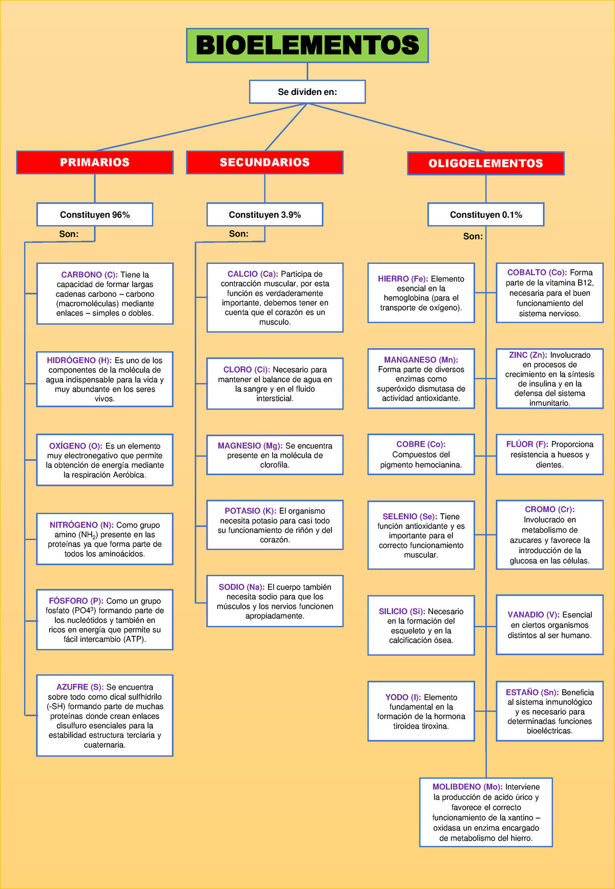 Bioelementos Bioelementos Primarios Secundarios Oligoelementos Constituyen Constituyen