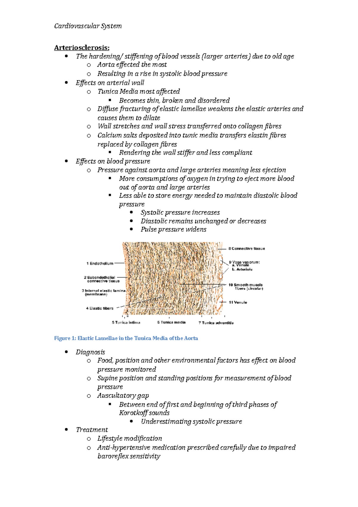 Arteriosclerosis - Lecture notes 1 - Cardiovascular System ...