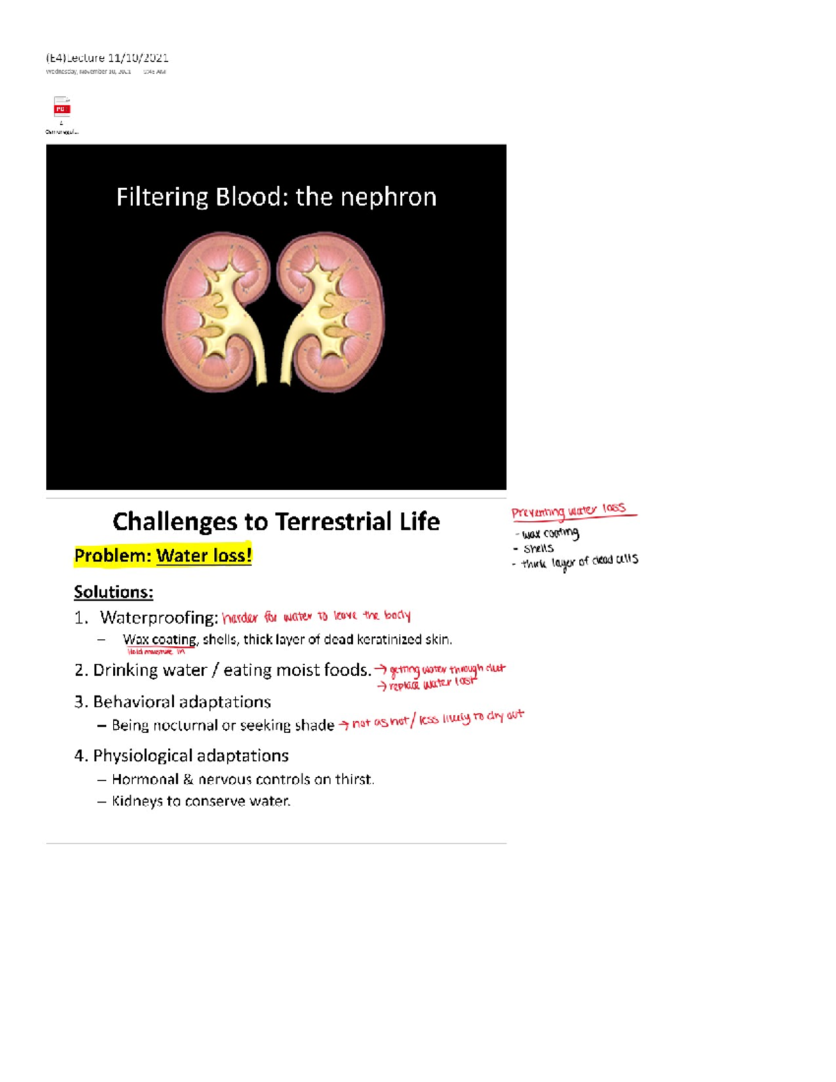 Bio 106 Lecture 30 - BIOL 106 - Studocu