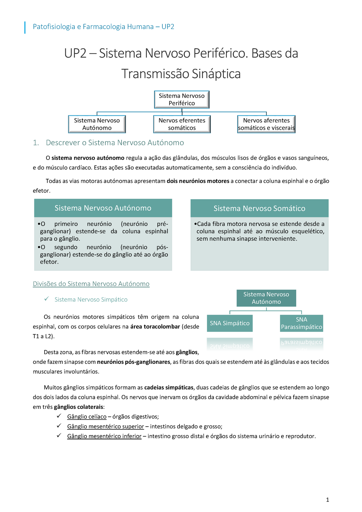 Resumo DE Farmacologia Cardiaca - RESUMO DE Pode ser de dois tipos: 1)  derivada de um problema que - Studocu