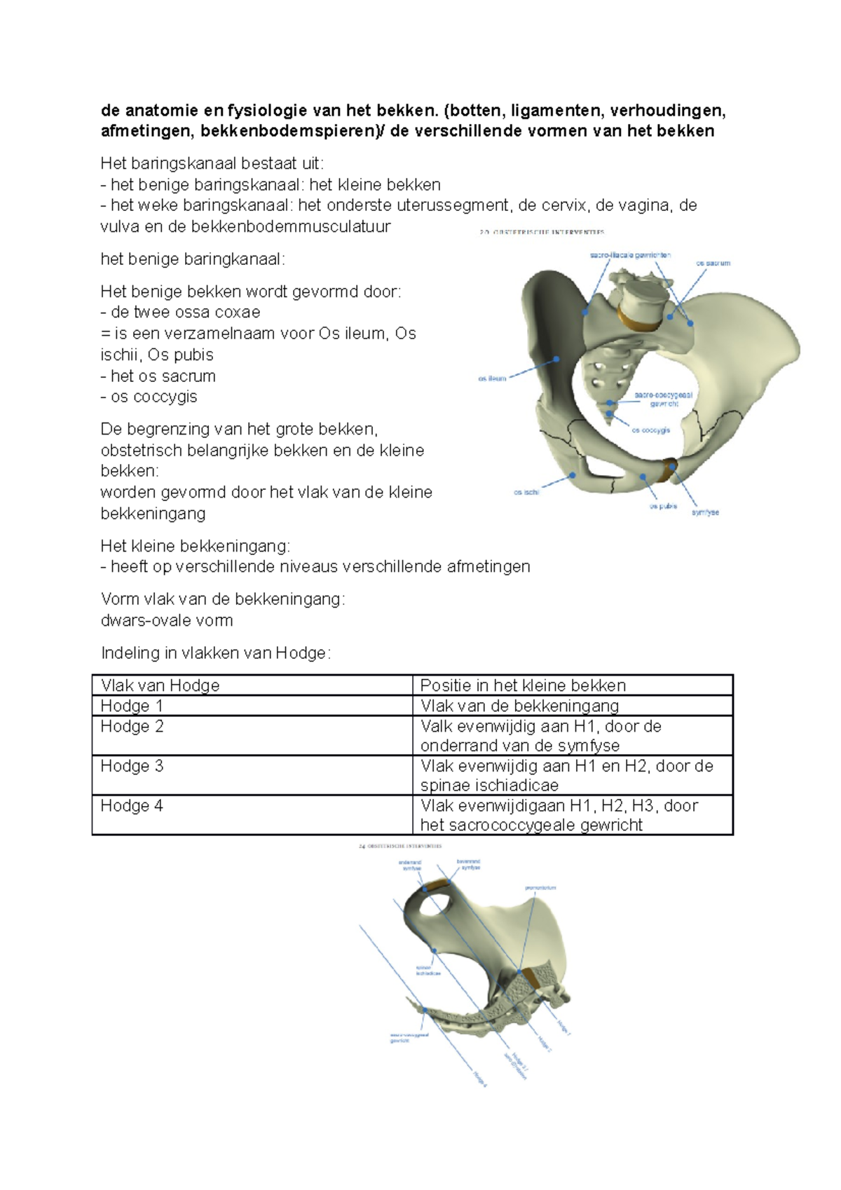 Owg 2.3 Afgewerkt - Daarvan Heb Ik De Meeste Info. - De Anatomie En ...