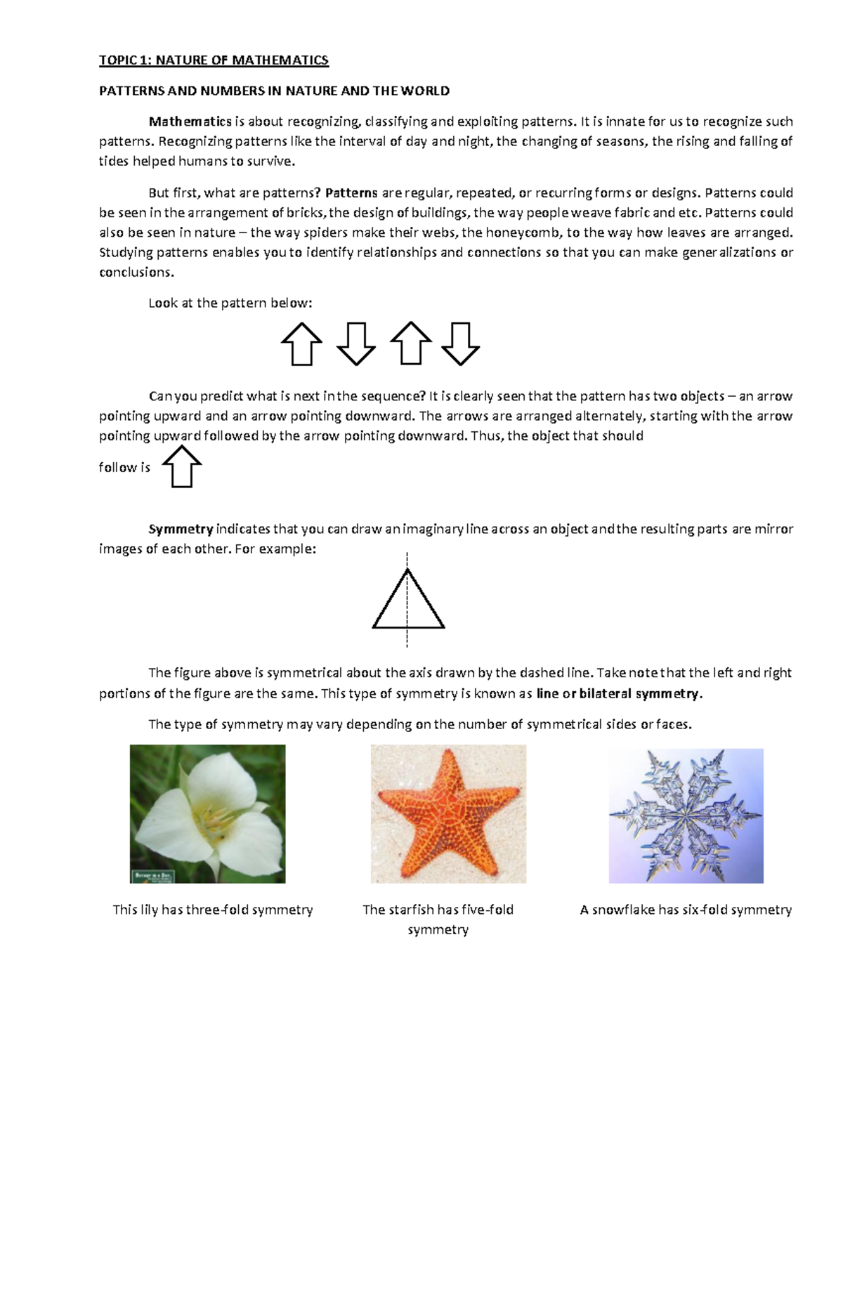 Nature of Mathematics 1 - TOPIC 1: NATURE OF MATHEMATICS PATTERNS AND ...