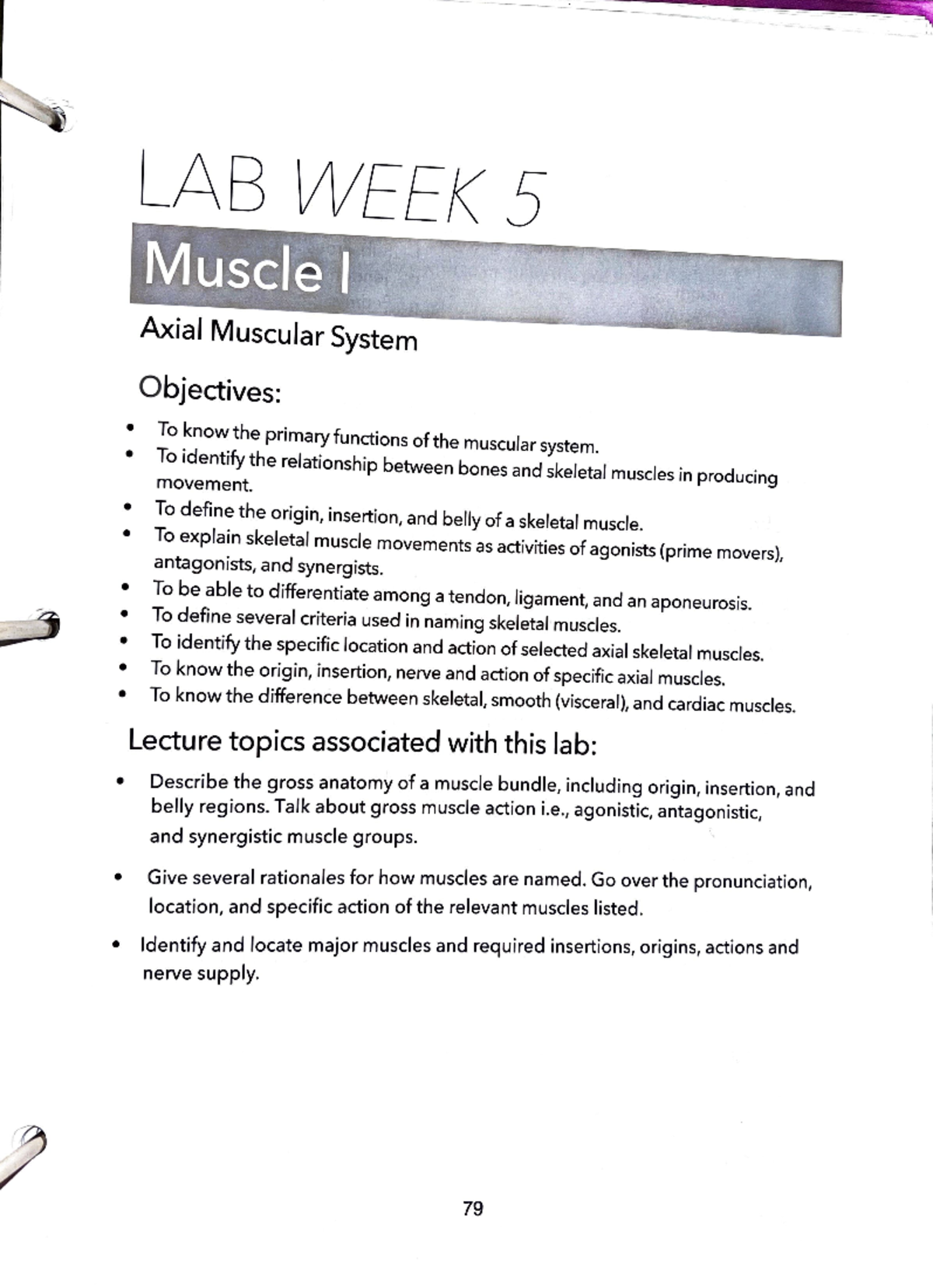 Grossman Lab 5Muscle 1 Lab LAB WEEK 5 Axial Muscular System   Thumb 1200 1656 