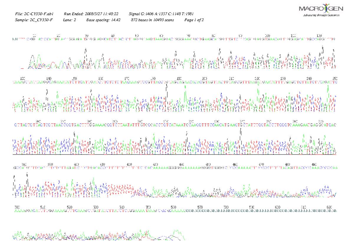 Chromatograph Sequencing - GENE2000 - Base spacing: 14 872 bases in ...