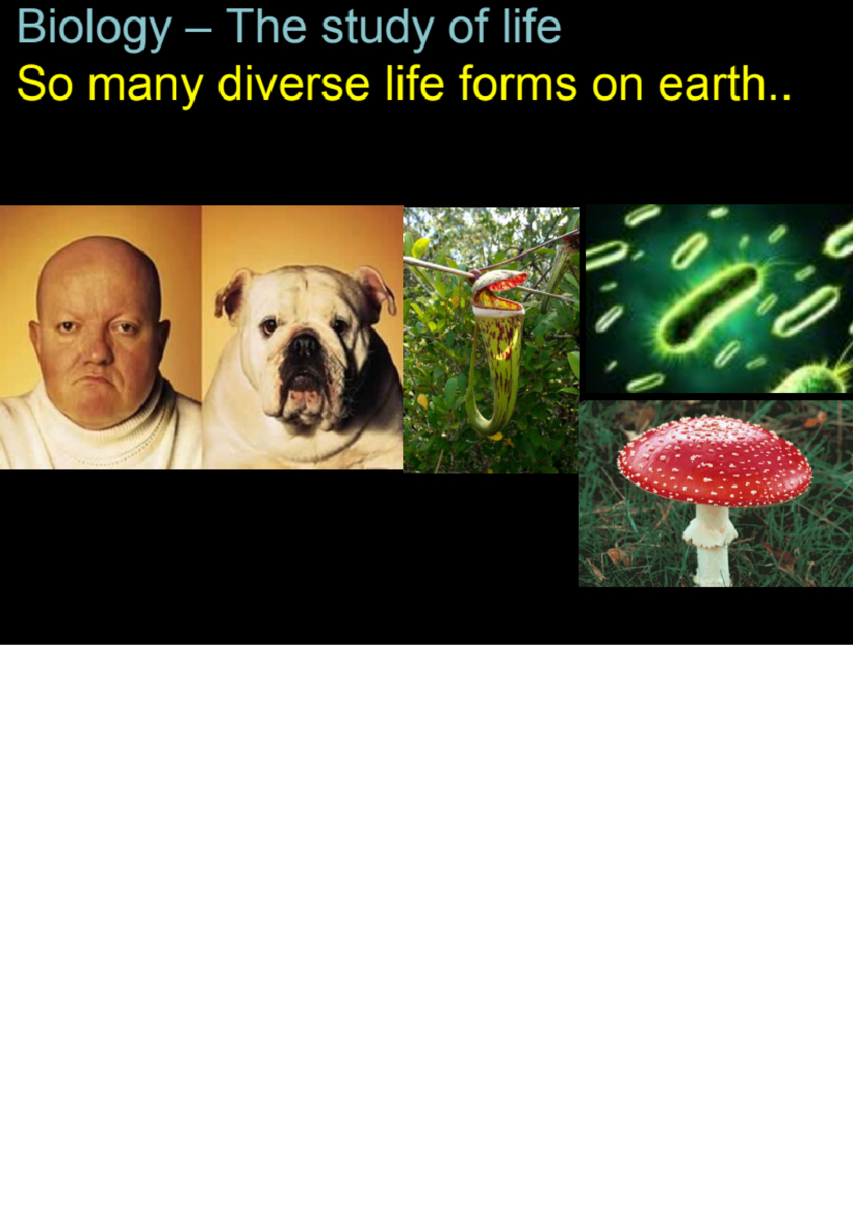 Biomolecules carbohydrates lecture slides Biology The study of life