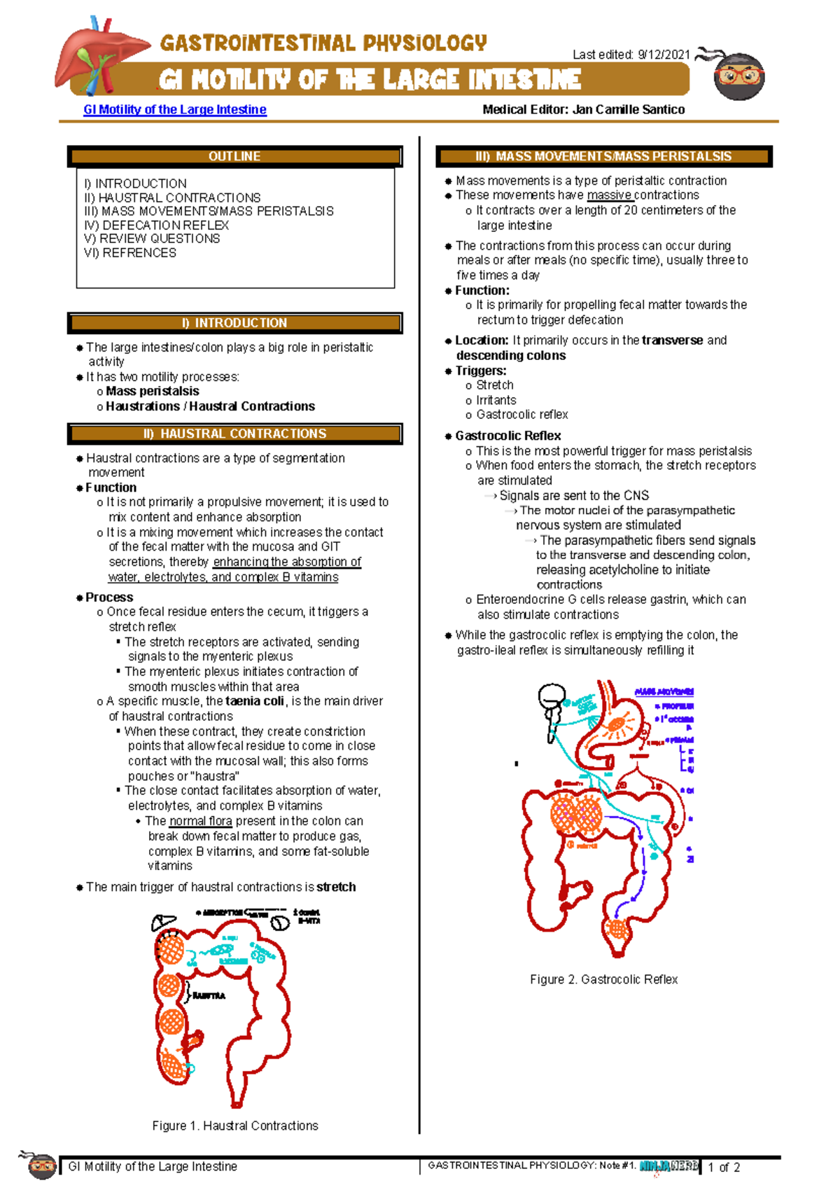 313 - Gastrointestinal Physiology] GI Motility of the Large Intestine ...