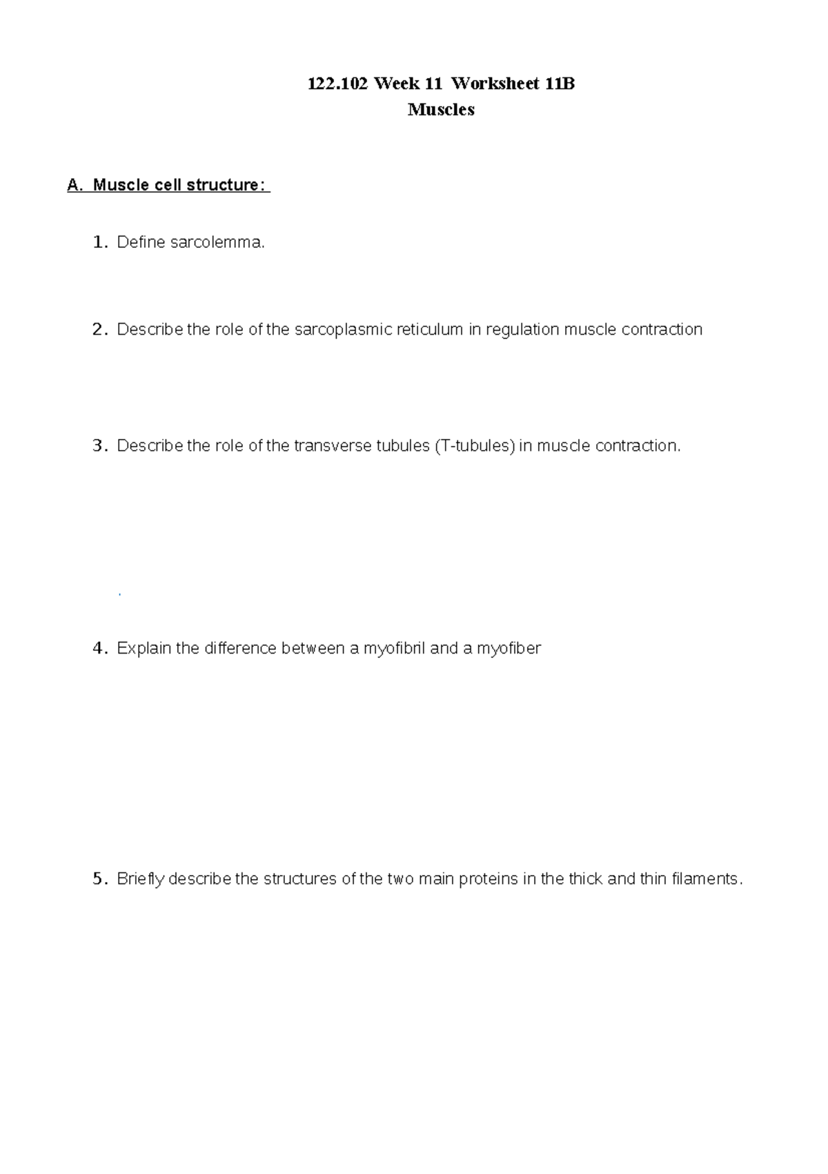 week-11-worksheet-11b-muscles-questions-122-week-11-worksheet-11b