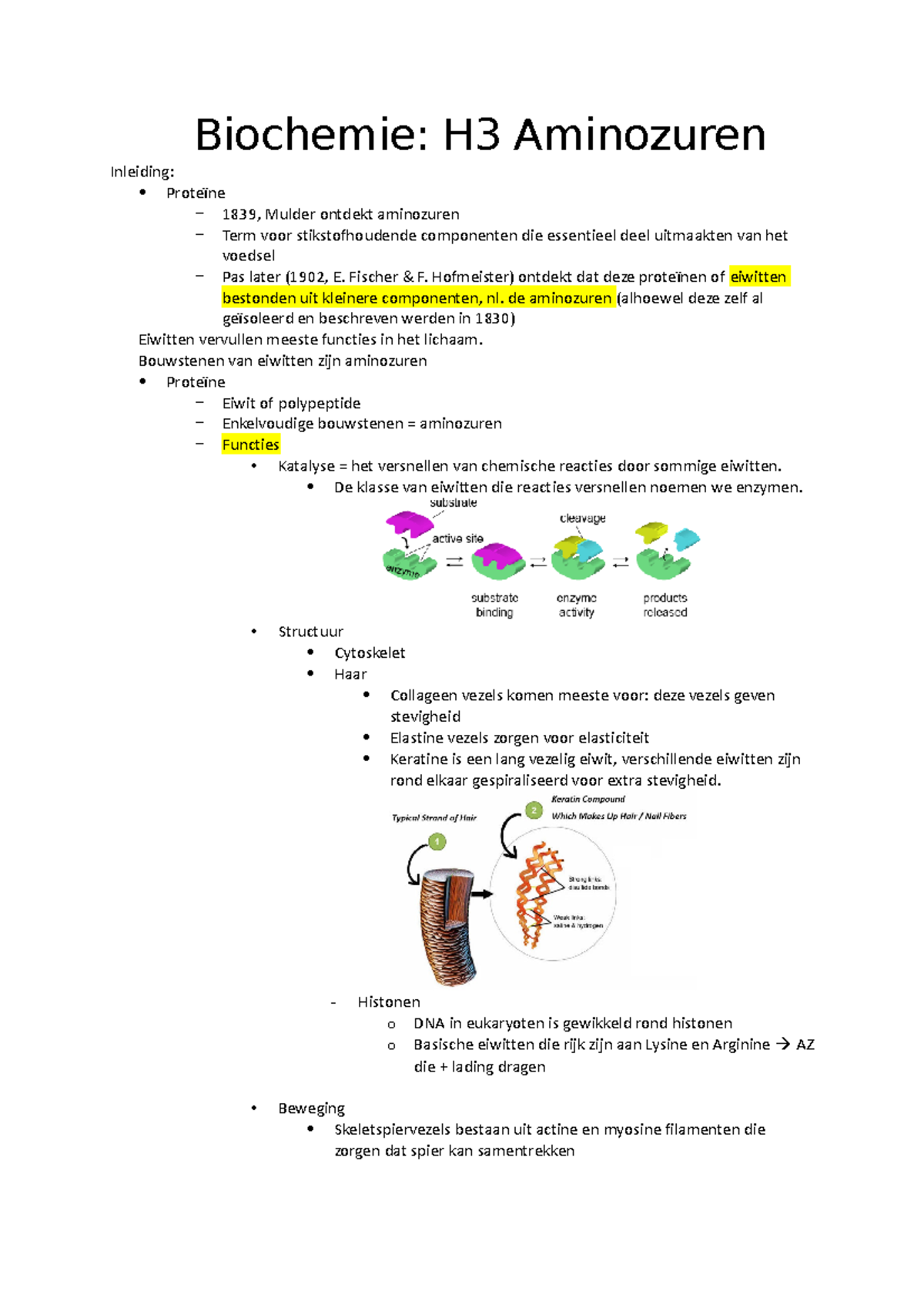 Biochemie H3 Aminozuren - Biochemie: H3 Aminozuren Inleiding ...