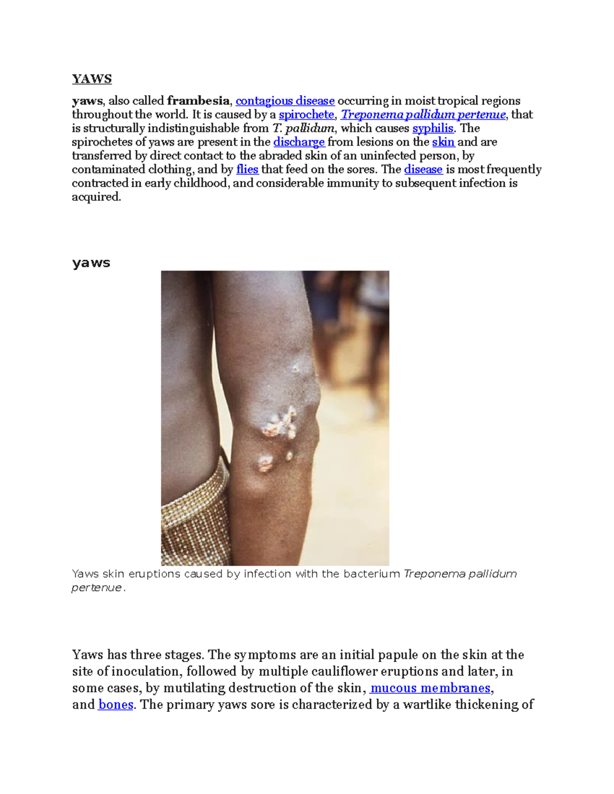 YAWS pathology frambesia contagious disease diagram detailed description YAWS yaws