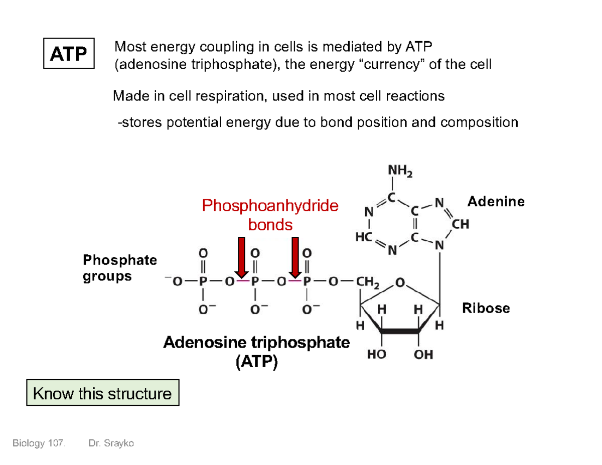 107Lect 14Slides - notes with details written in some! - Know this ...