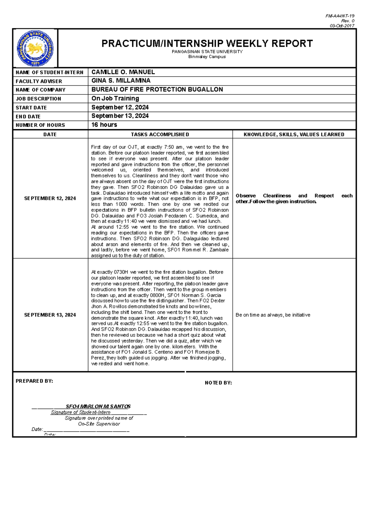 Manuel Individual Report - FM-AA-INT- Rev. 0 03-Oct- PRACTICUM ...