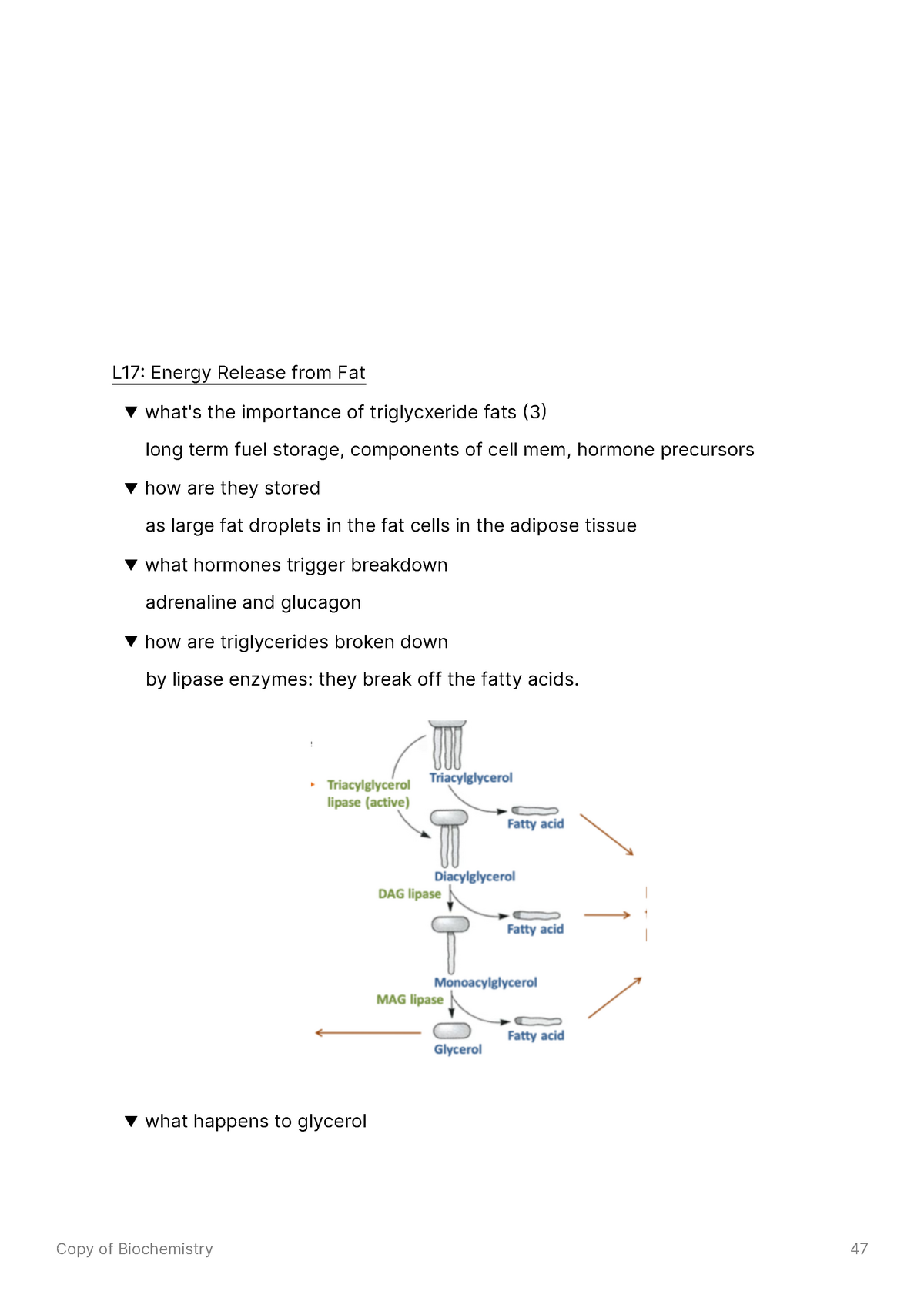 Latest IIA-CIA-Part3 Questions