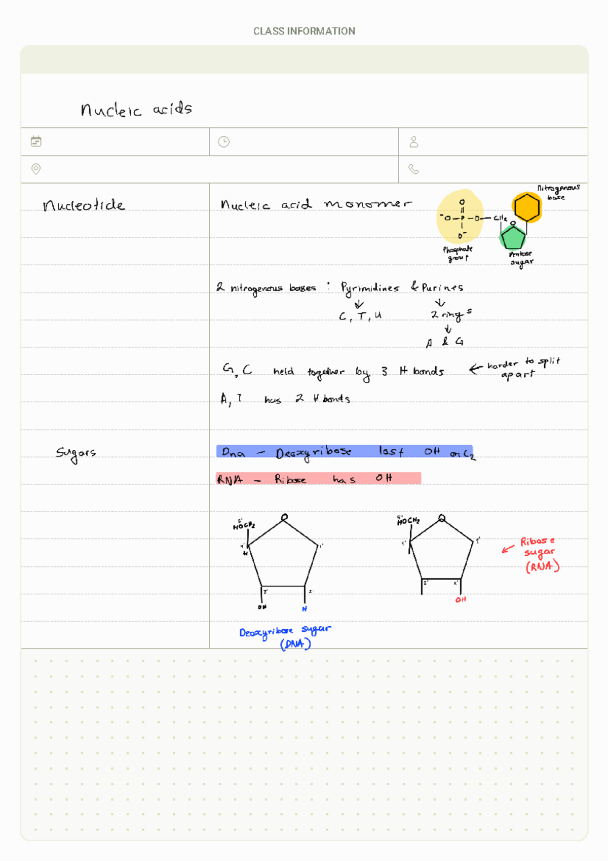 Nucleic Acids 230322 155903 - Introduction to Biochemistry and the