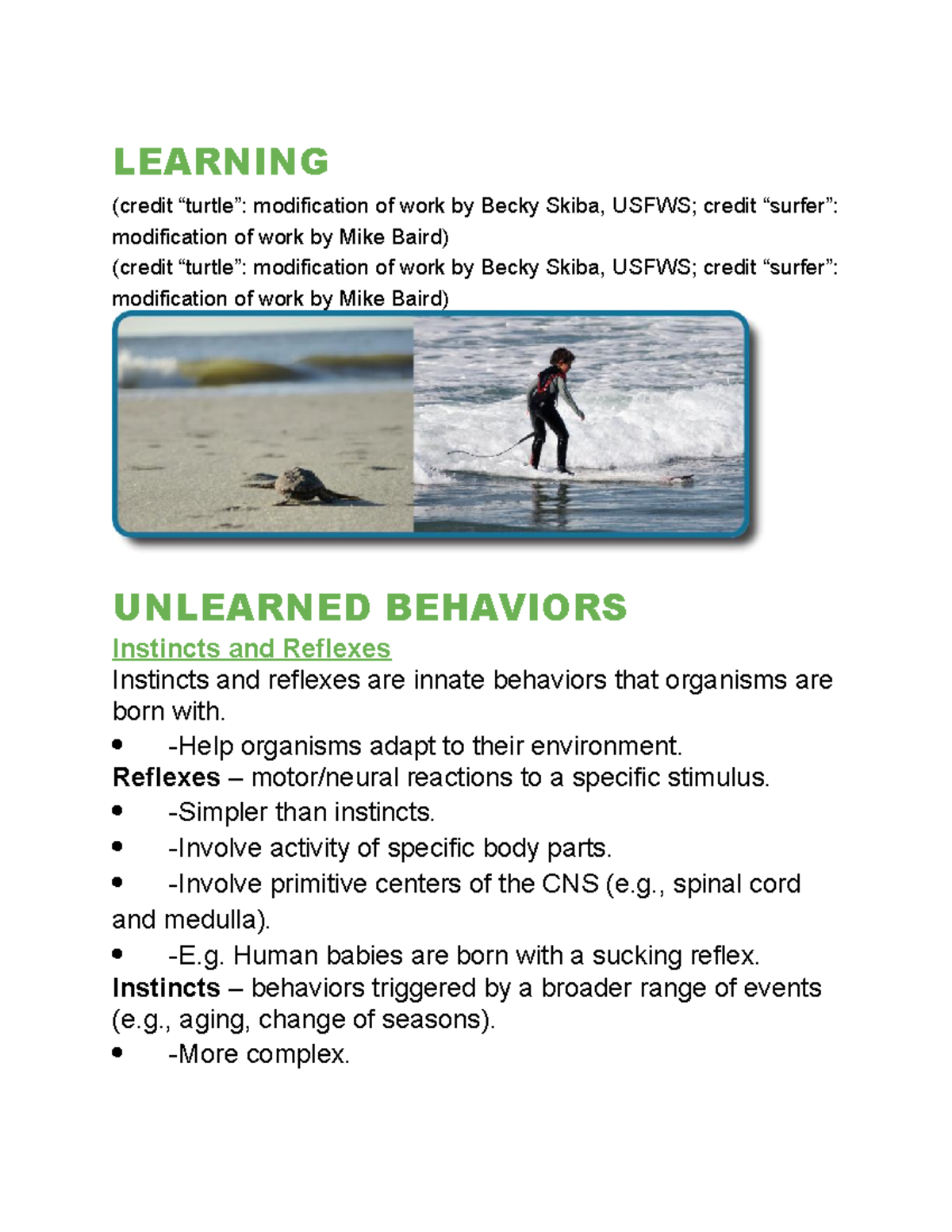 Powerpoint 6 psychology - LEARNING (credit “turtle”: modification of ...