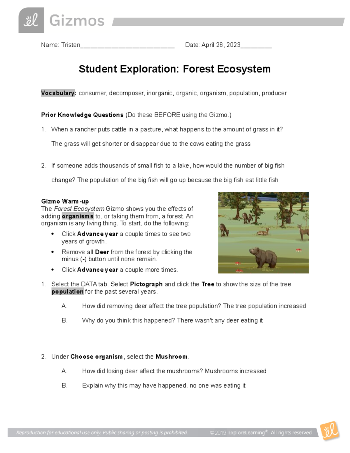 Forest Ecosystem SE - answer key - Name: Tristen ...