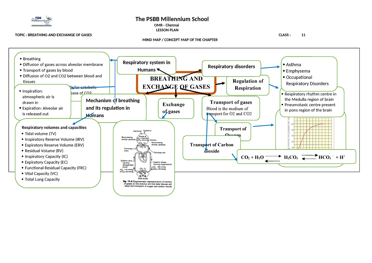 Breathing And Exchange Of Gases Concept Map - The PSBB Millennium ...