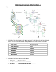 BSC2010 - USF - Cellular Processes - Studocu