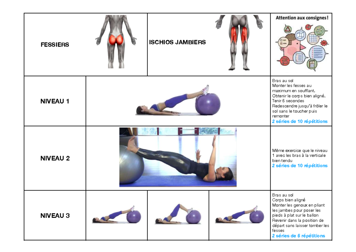 Renforcement Musculaire Avec Ballon - Fessiers Ischios Jambiers Niveau 