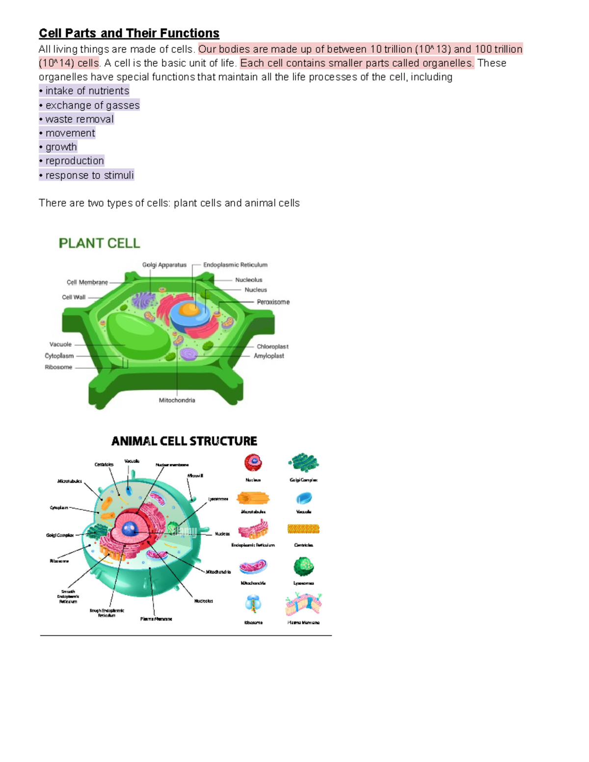 grade-10-bio-notes-cell-parts-and-their-functions-all-living-things