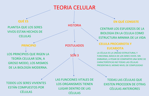 MAPA CONCEPTUAL SOBRE LA TEORIA CELULAR - TEORIA CELULAR QUÉ ES EN QUÉ  CONSISTE HISTORIA PRINCIPIO - Studocu