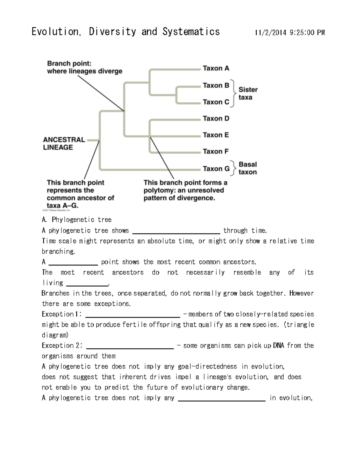 Practical - questions Evolution Diversity - Evolution, Diversity and ...