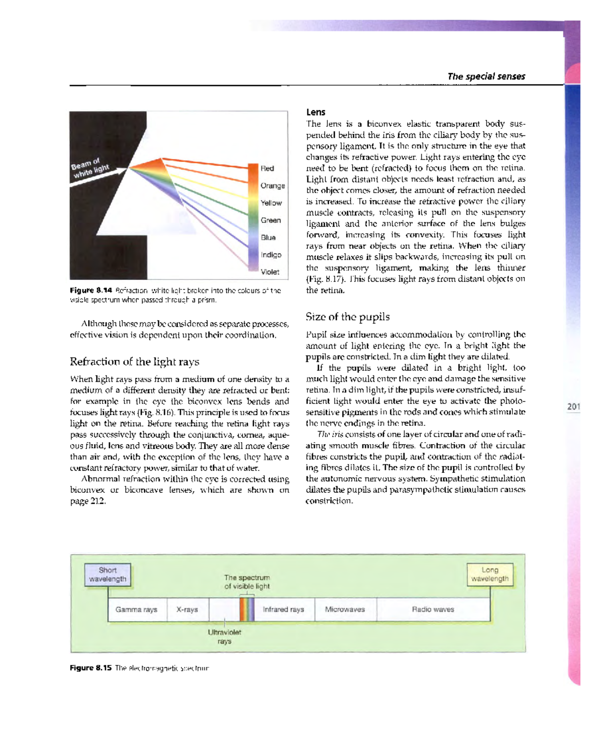 Human-Anatomy and Physiology 94 - The special senses Figure 8 ...