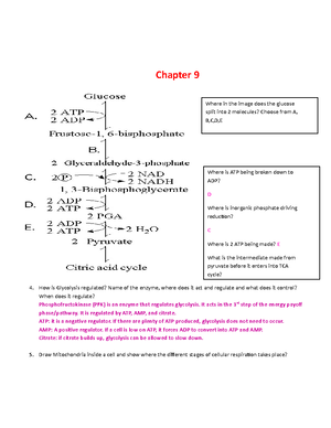 S22 Cell Staining And Microscopy Worksheet - BIO-181 - GCU - Studocu