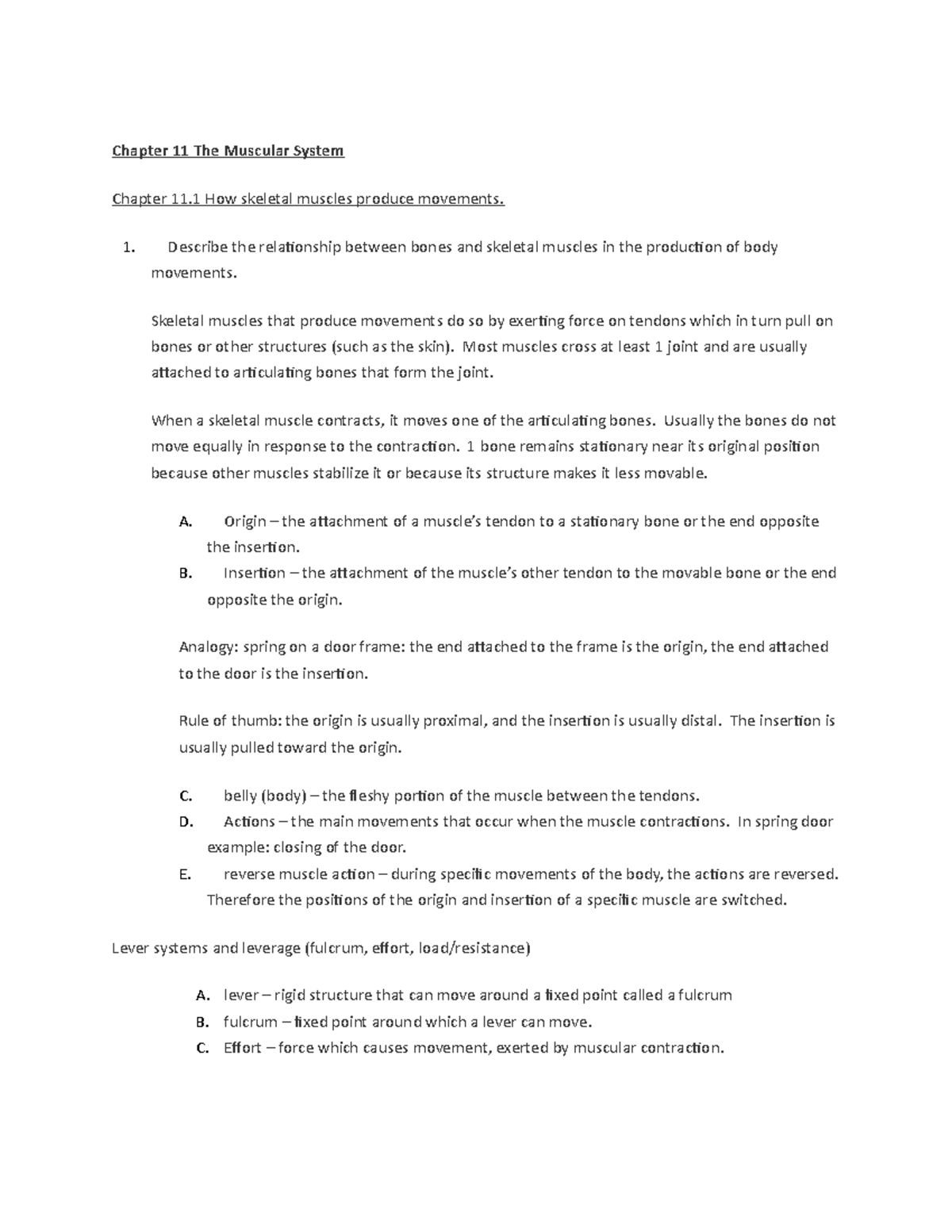 Chapter 11 The Muscular System - Chapter 11 The Muscular System Chapter ...