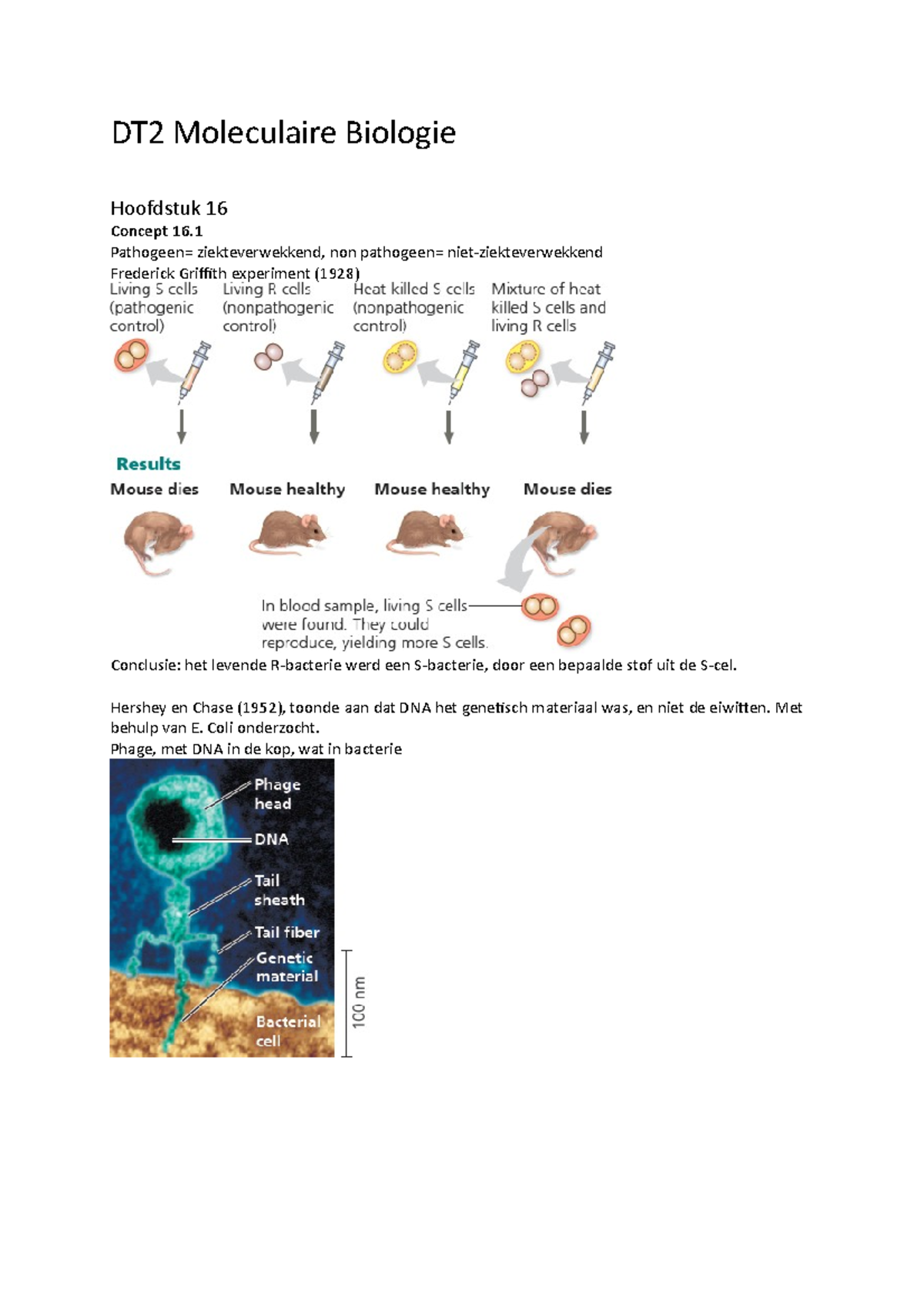 DT2 Moleculaire Biologie H16 En H17 T/m 17.3 - DT2 Moleculaire Biologie ...