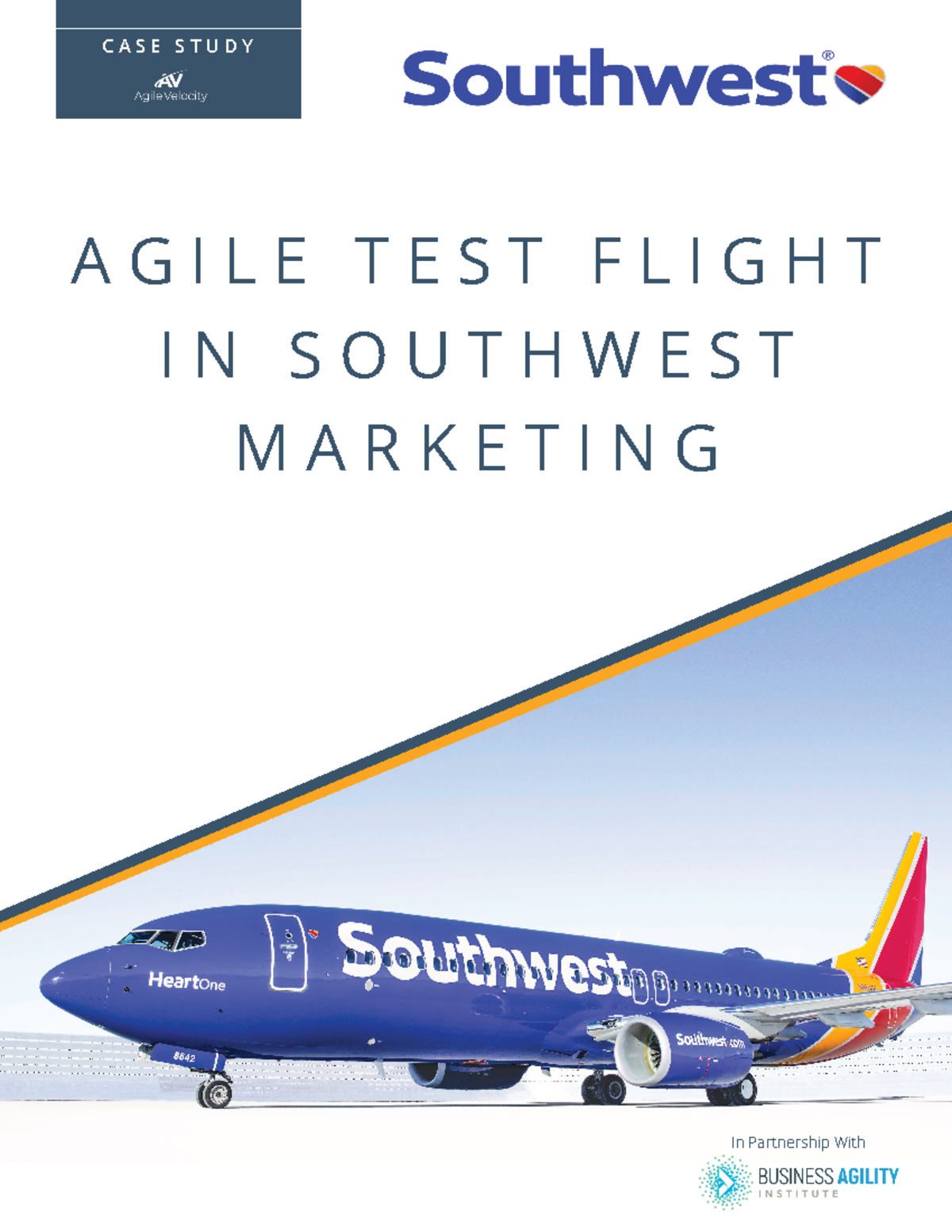 2020 SWA Marketing Case Study - C A S E S T U D Y A G I L E T E S T F L ...