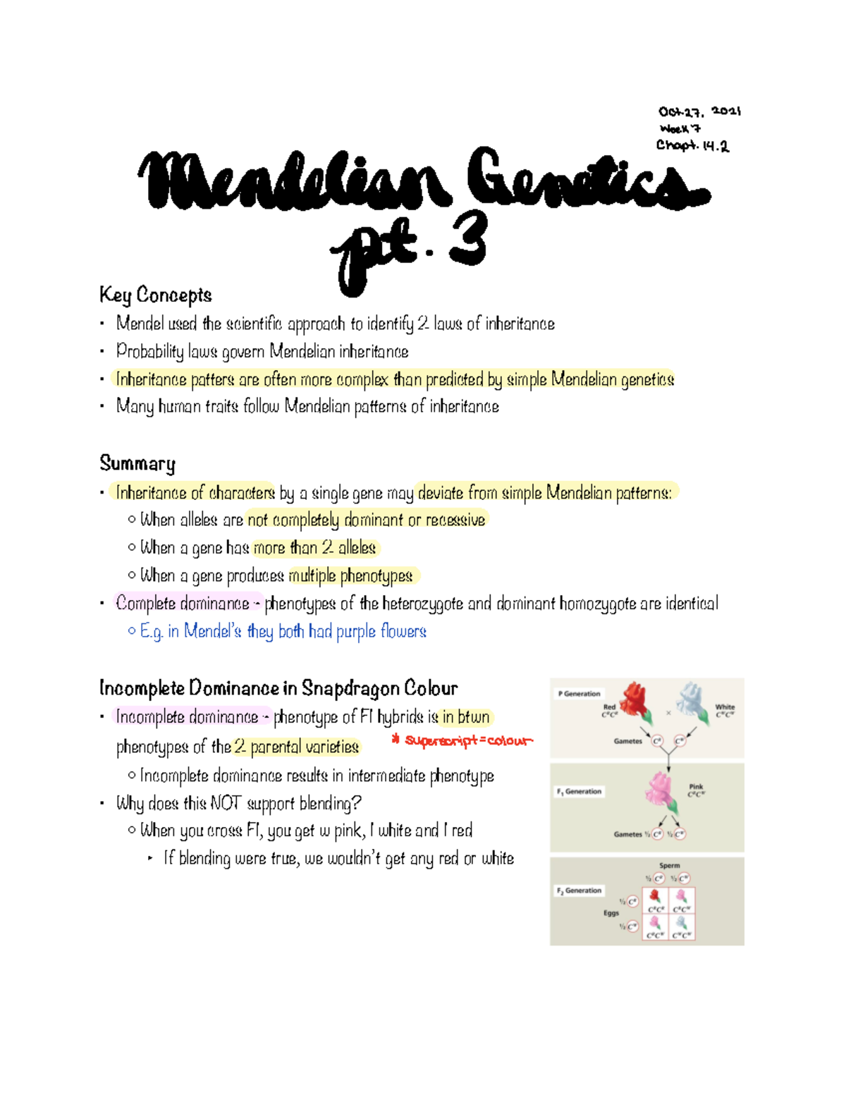 Week 7 - BIOL 102 Mendelian Genetic Inheritance And More Complex - Key ...