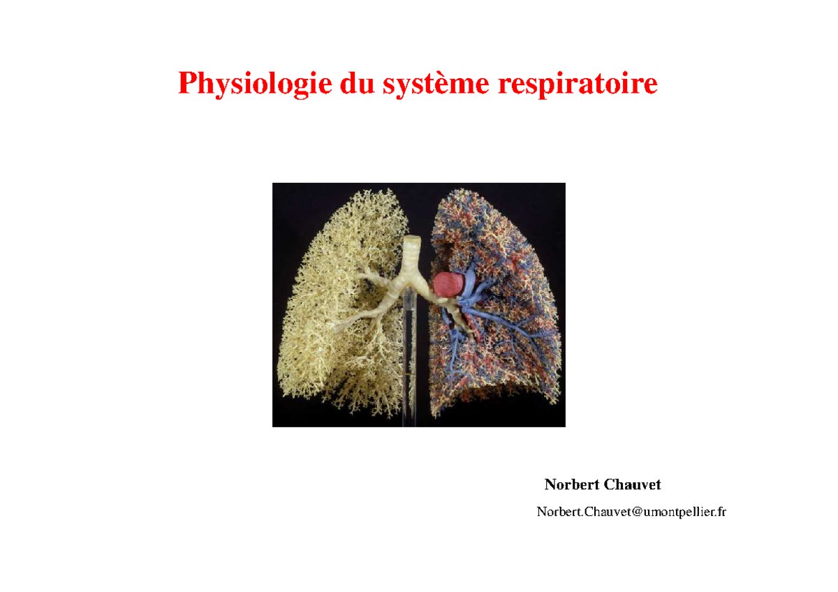 Chap1 Respiration Anatomie - Physiologie Du Système Respiratoire ...