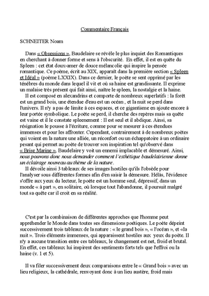 Dissertation La Bruyère - Le XVIIème Siècle Voit L’essor De Figures D ...