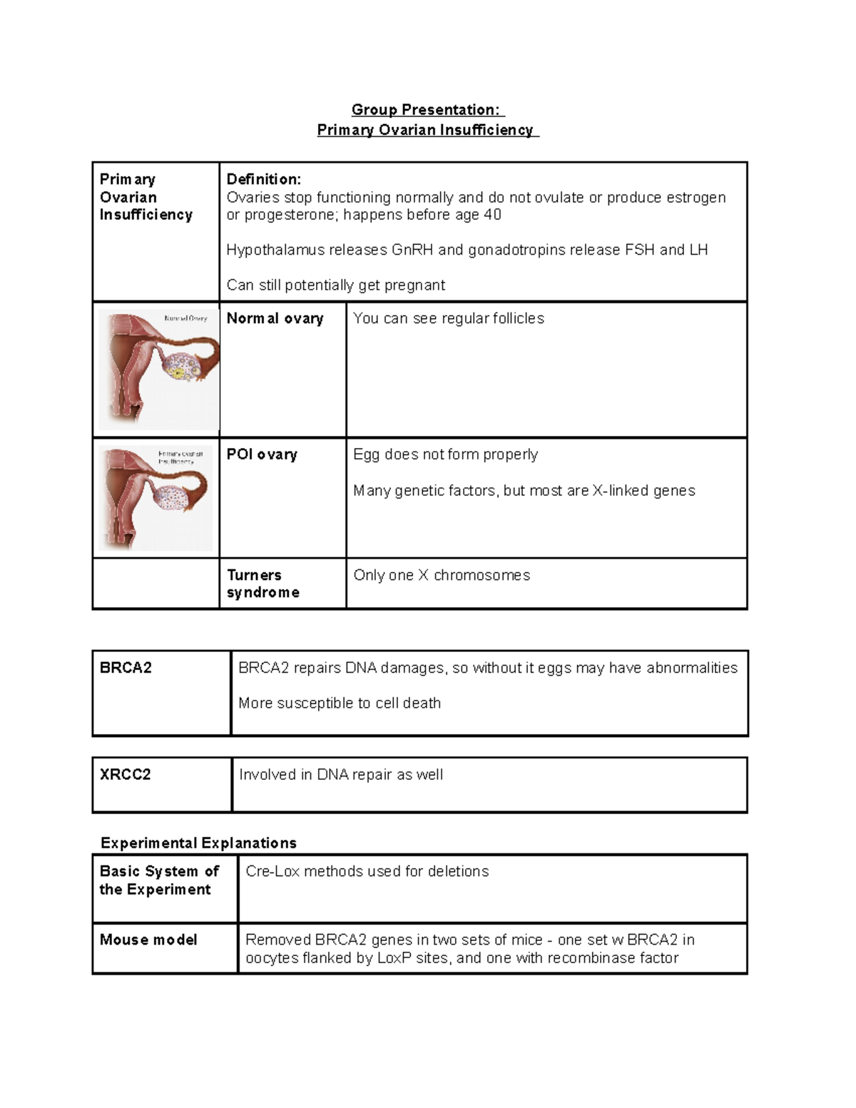 Primary Ovarian Insufficiency Worksheet - Bio 115 W21 - Group