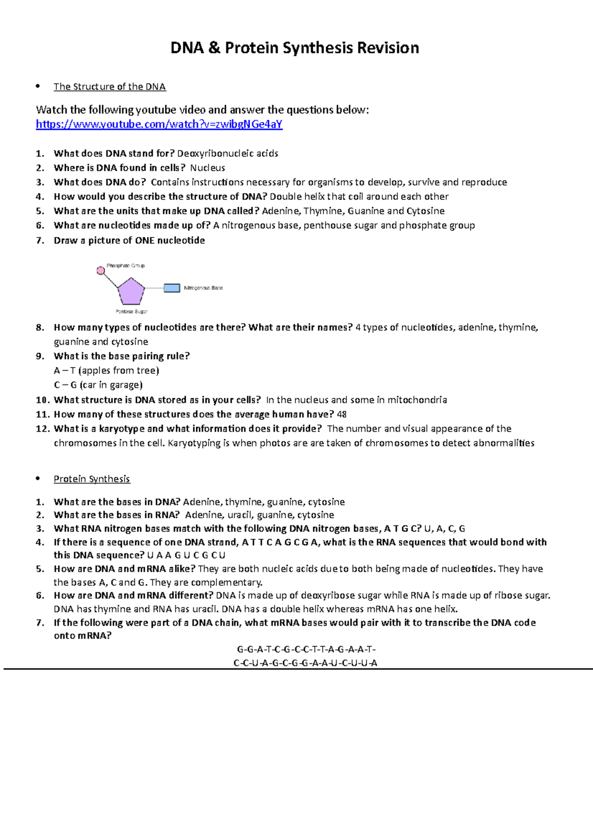 DNA and Protein Synthesis Revision copy DNA & Protein Synthesis Revision The Structure of