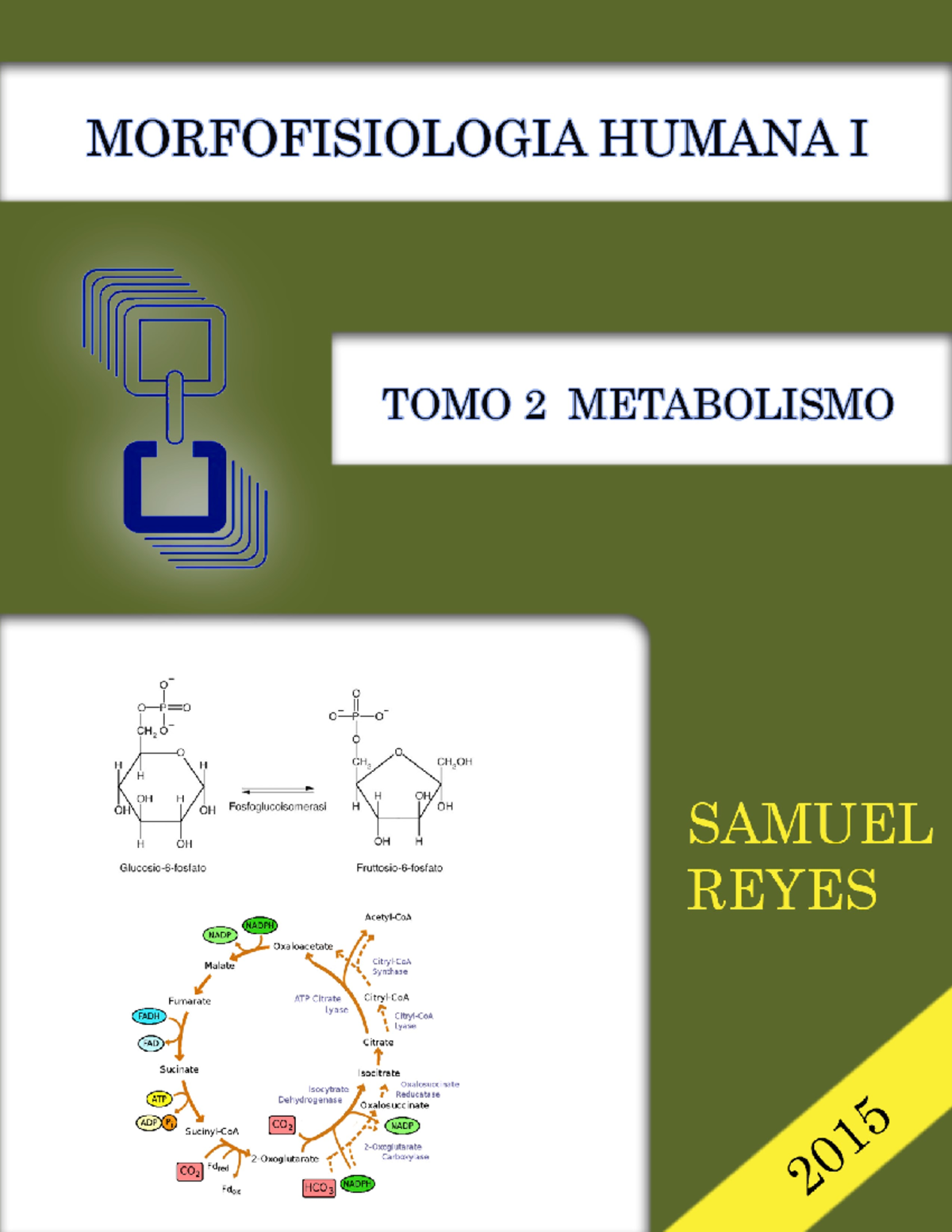 Morfofisiologia Humana I Unidad II Samuel Reyes 2.pdf - Morfofisiologia ...