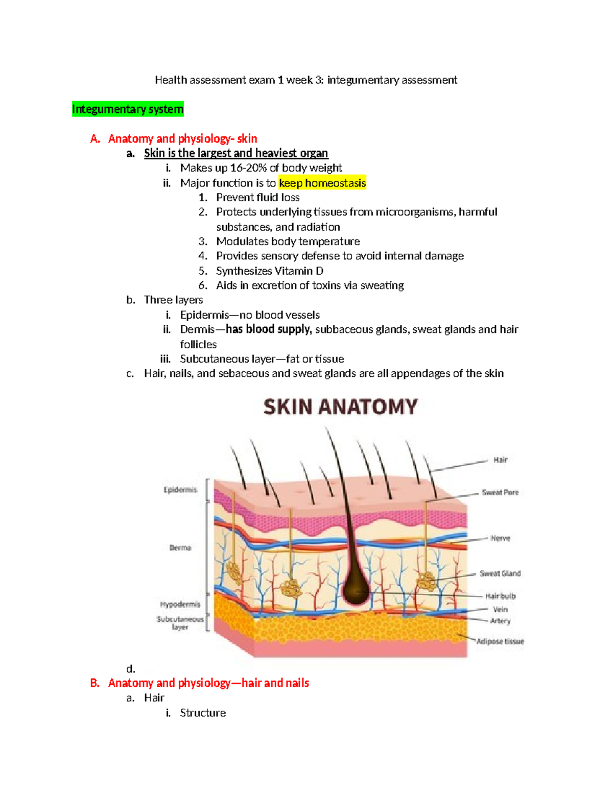 Health assessment exam 1 week 3- Integumentary - Health assessment exam ...