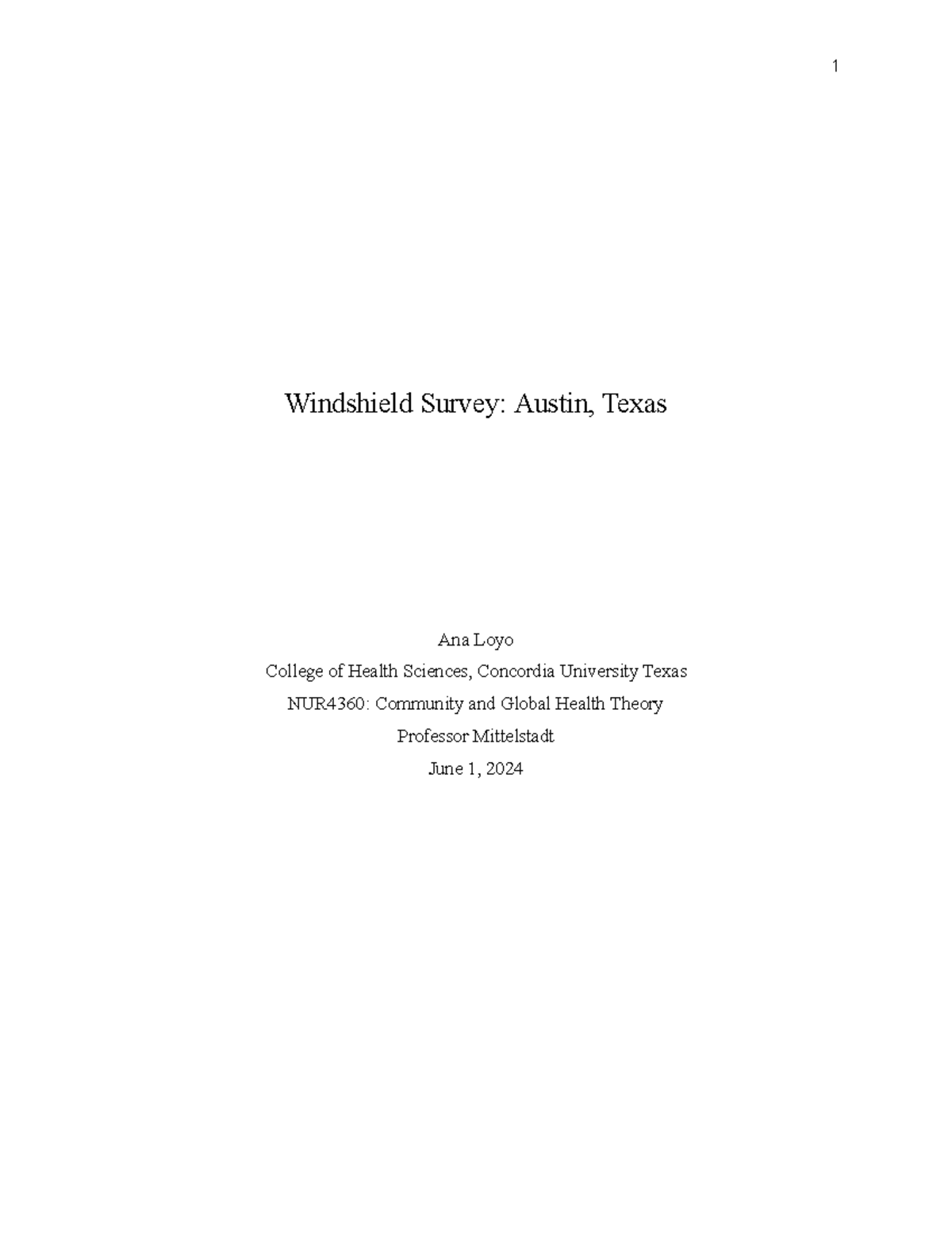 Ana Loyo Windshield Survey - 1 Windshield Survey: Austin, Texas Ana ...