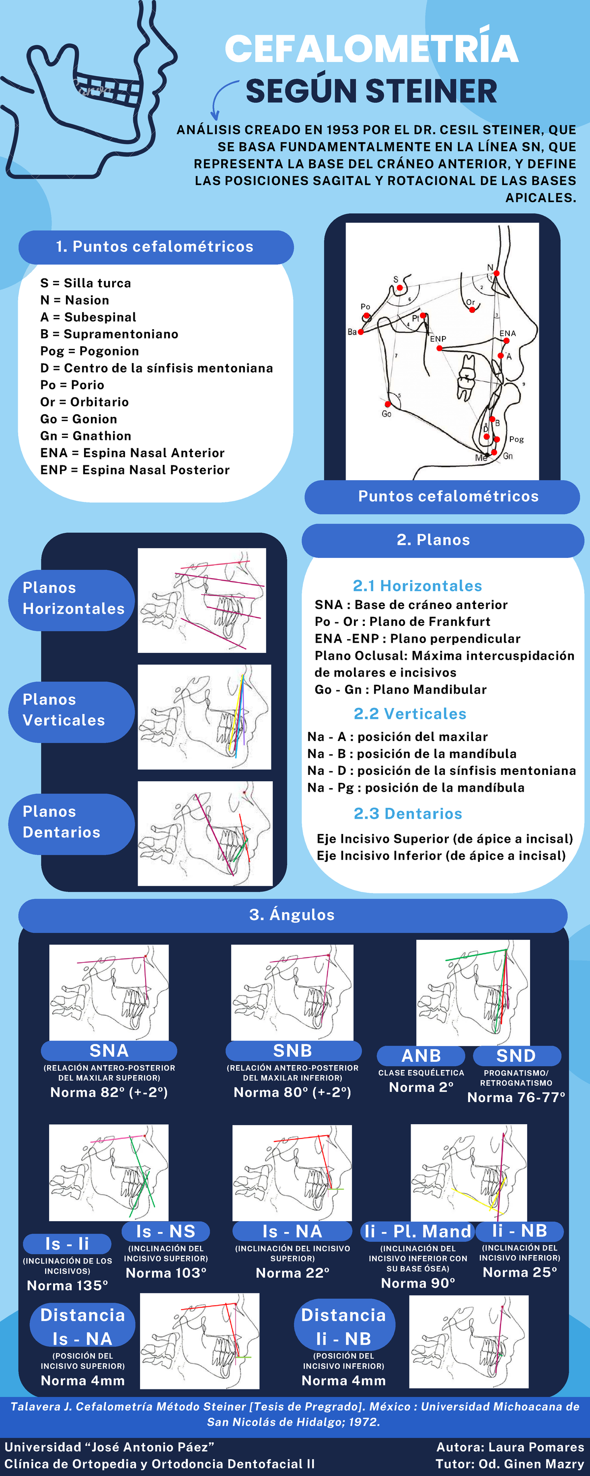 Cefalometría Según Steiner - CEFALOMETRÍA SEGÚN STEINER 2. Planos 2 ...