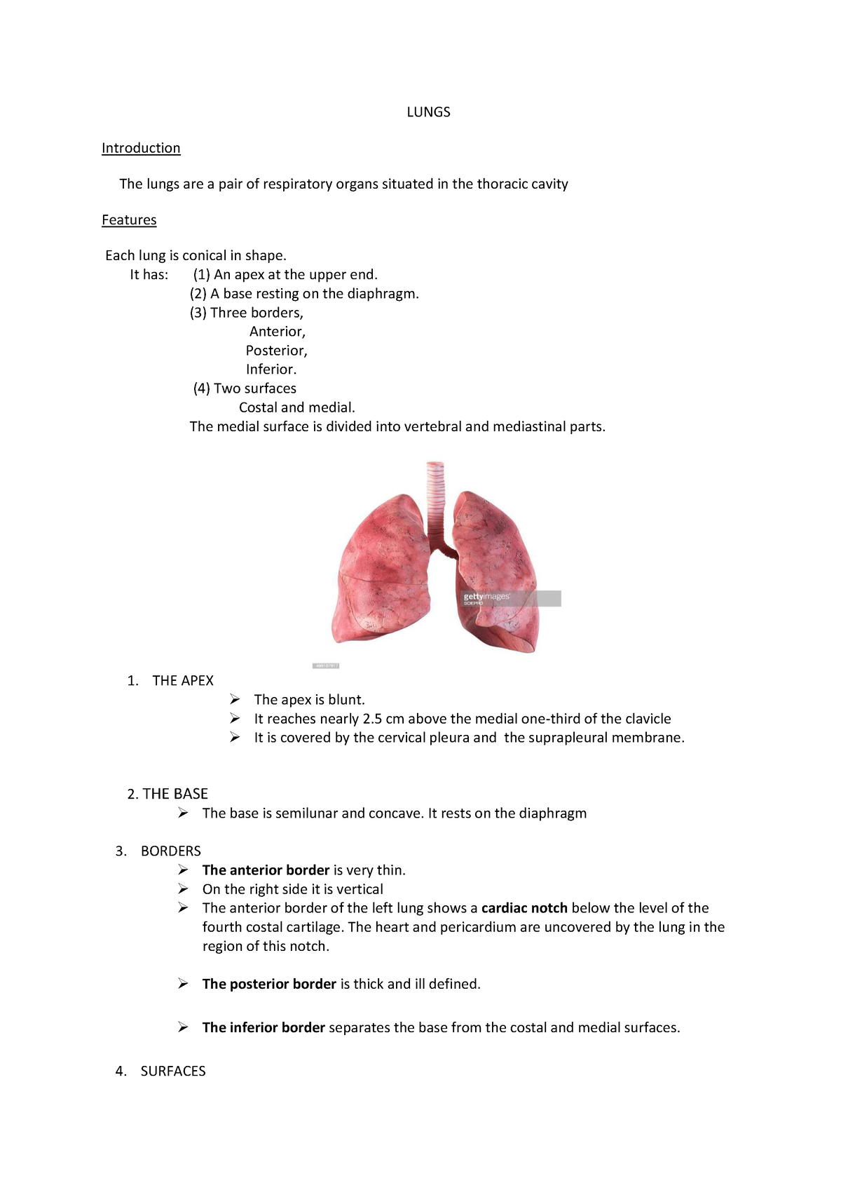 Lungs WORD - Lecture - LUNGS Introduction The lungs are a pair of ...