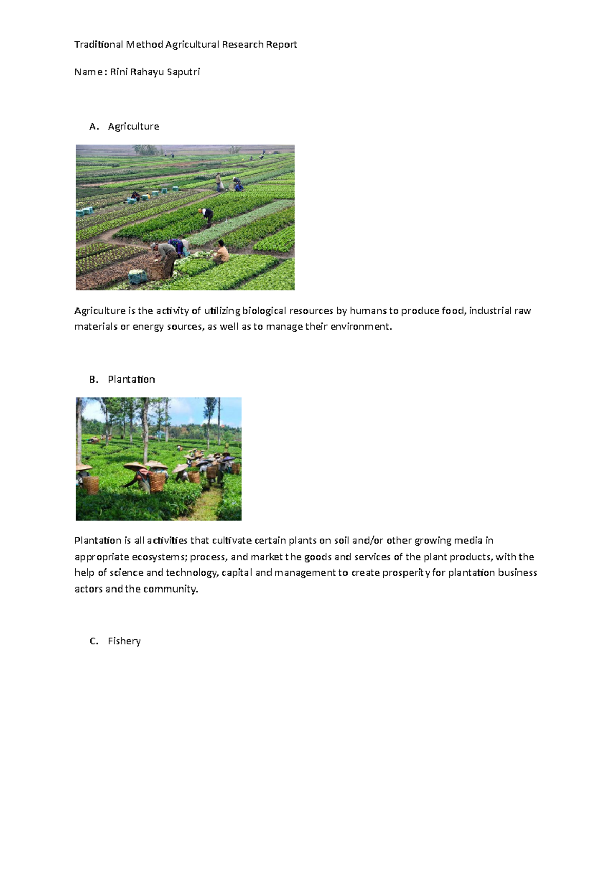 Traditional Method Agricultural Research Report - Agriculture ...