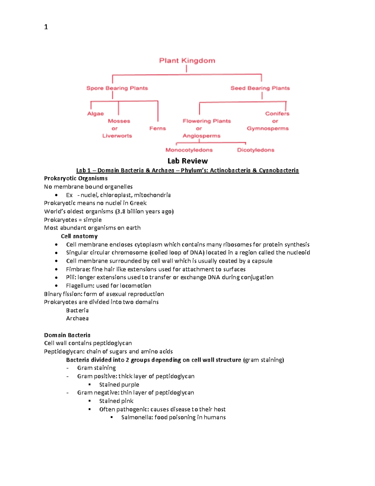 Bio 121 lab review - Lab Review Lab 1 – Domain Bacteria & Archaea ...