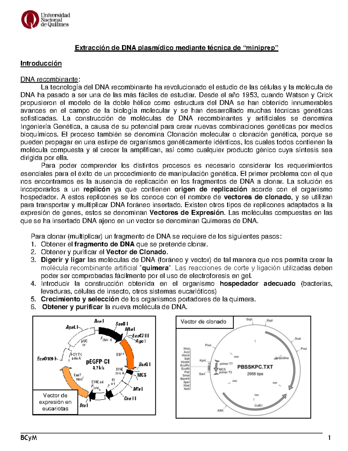 TP N 2 Miniprep DNA - Extracción De DNA Plasmídico Mediante Técnica De ...