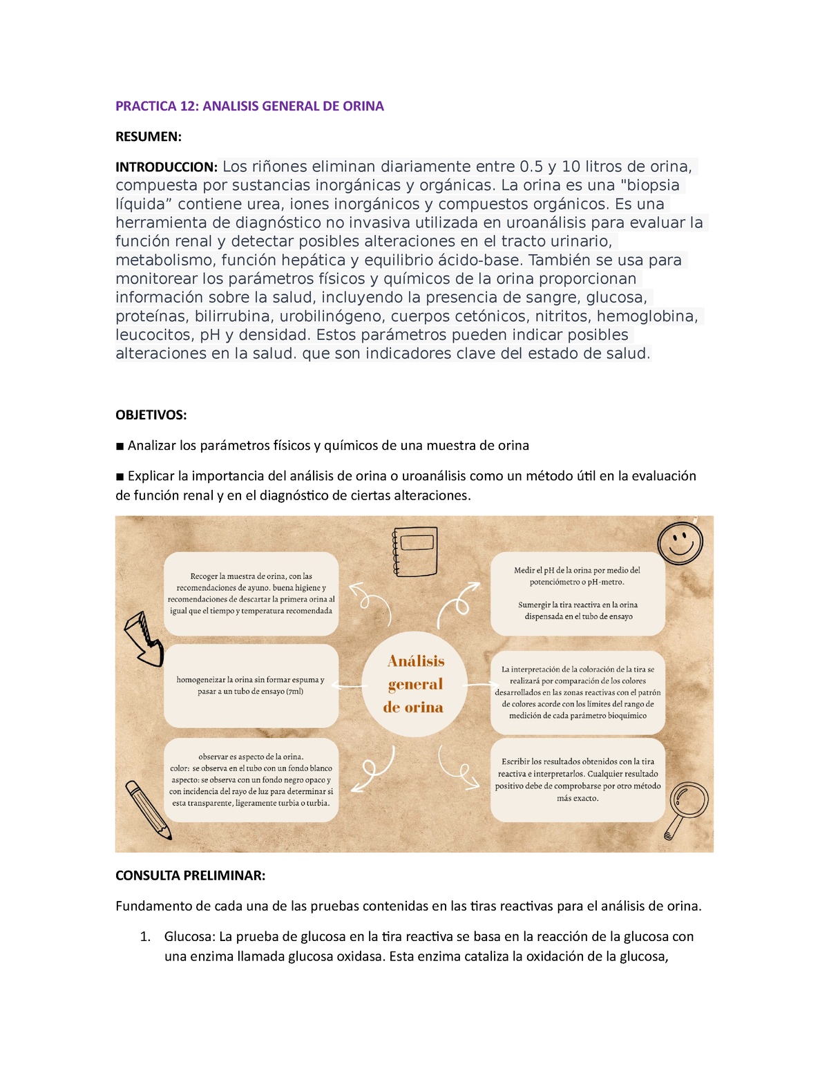 Practica 12 - Preinforme De Laboratorio Para Bioquimica - PRACTICA 12 ...